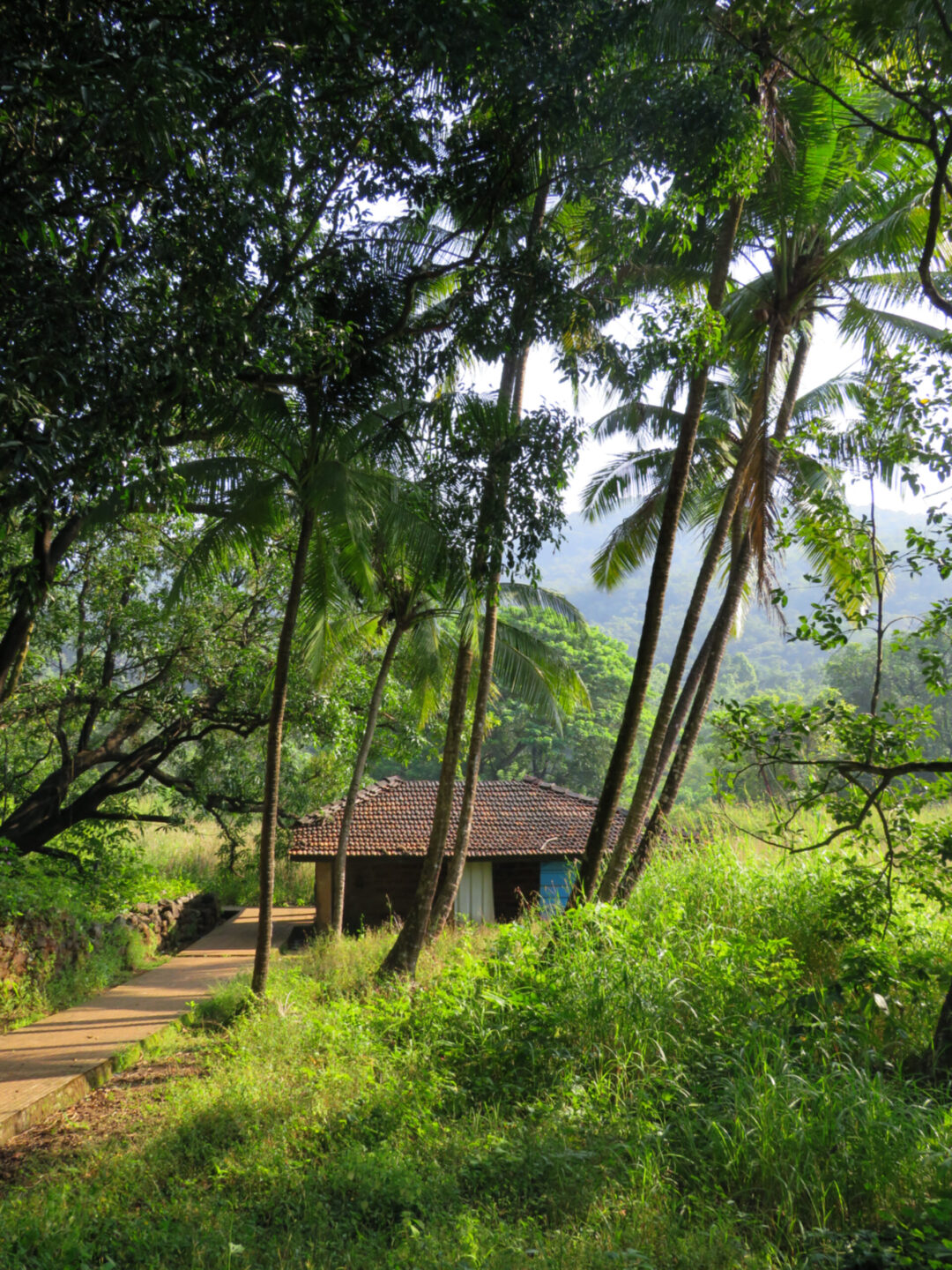 Coastal Ratnagiri (Maharashtra) | 4N - 5D