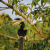 Coastal Ratnagiri (Maharashtra) | 4N - 5D