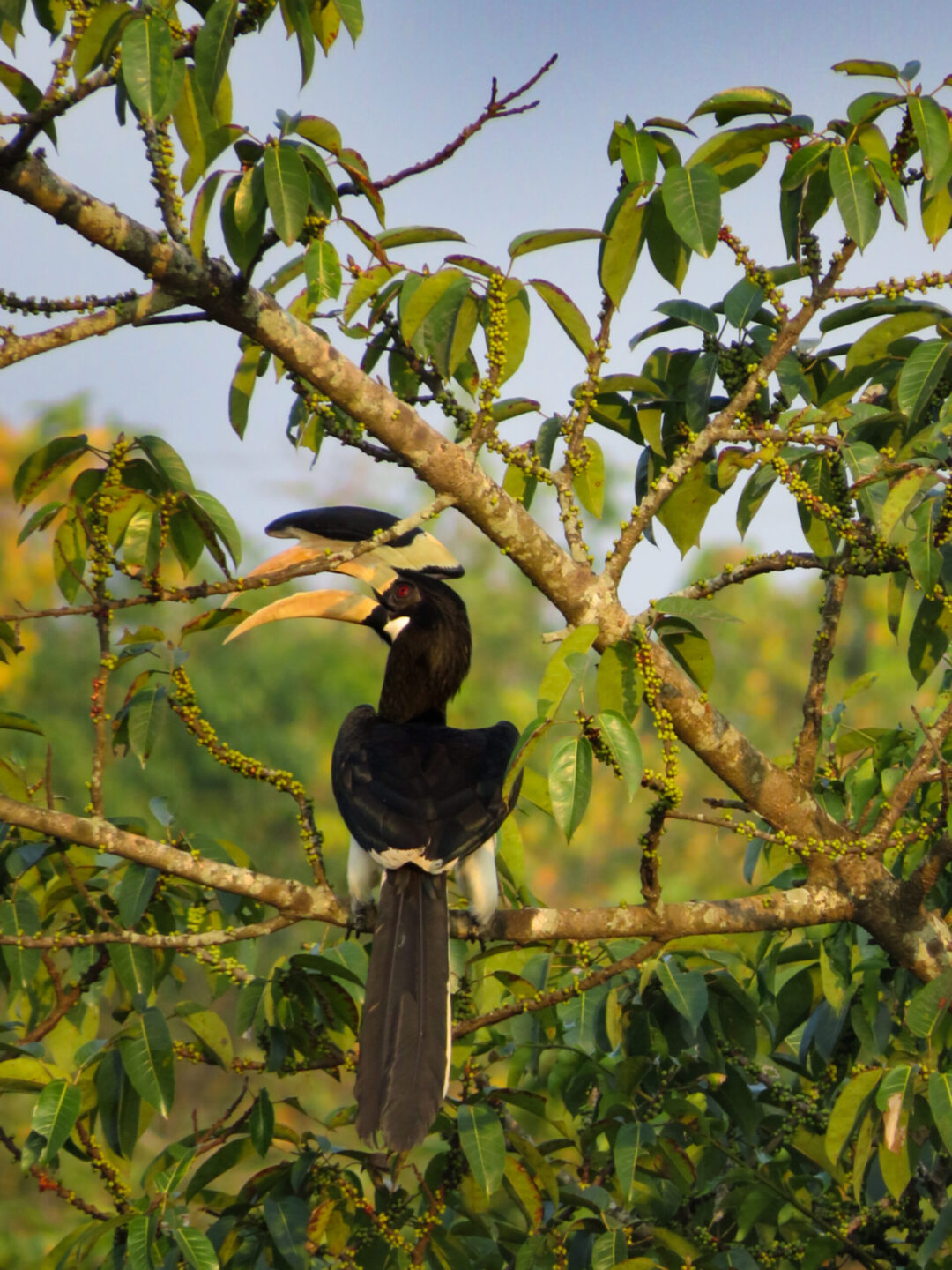Coastal Ratnagiri (Maharashtra) | 4N - 5D