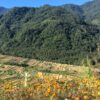 Khonoma - Kohima - Imphal (Nagaland & Manipur) | 6N - 7D