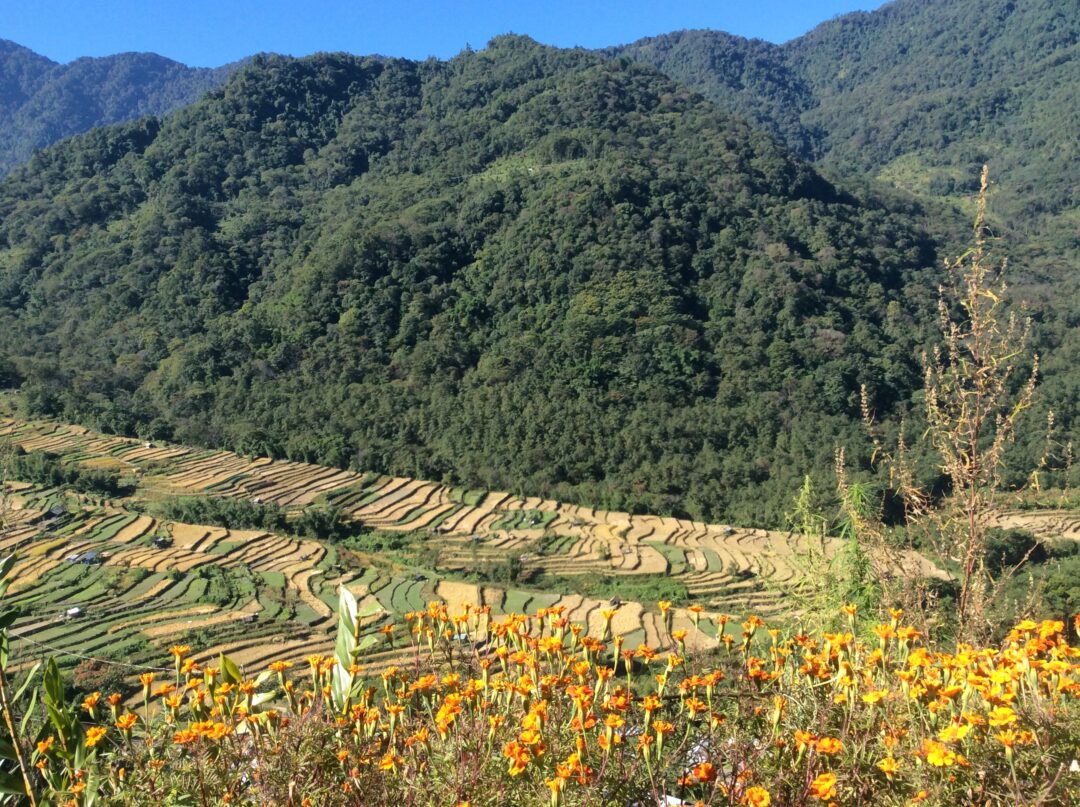 Khonoma - Kohima - Imphal (Nagaland & Manipur) | 6N - 7D