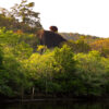 Goa (Offbeat & Adventure) | 6N - 7D