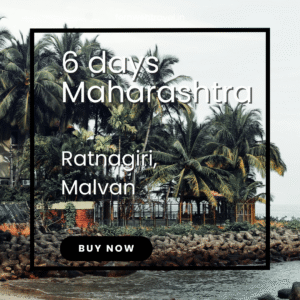 Scenic beach in Malvan lined with coconut trees and golden sand under a clear blue sky.