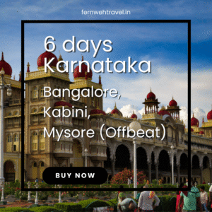Mysore Palace – illuminated royal residence in Karnataka, India