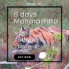 Royal Bengal Tiger drinking water from lake in Tadoba National Park, Maharashtra.