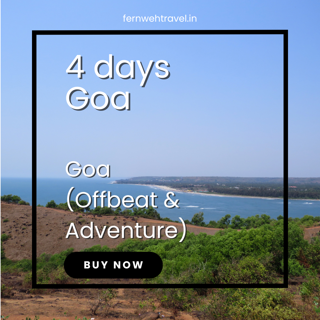 Panoramic view of a quiet Goan beach from a small hilltop, with turquoise waves and palm-lined shores.