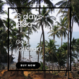 Secluded South Goa beach lined with coconut trees under a cloudy sky, showcasing tranquil waves and untouched shoreline
