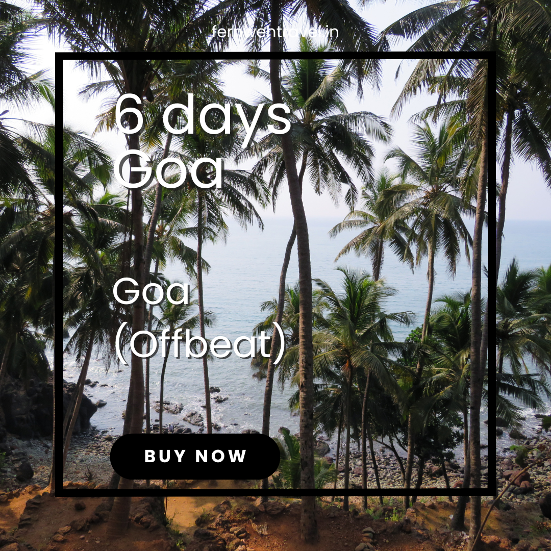 Secluded South Goa beach lined with coconut trees under a cloudy sky, showcasing tranquil waves and untouched shoreline