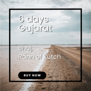Aerial view of the White Rann desert in Kutch under a pastel sunset sky, with salt crystals shimmering on the vast, empty terrain.