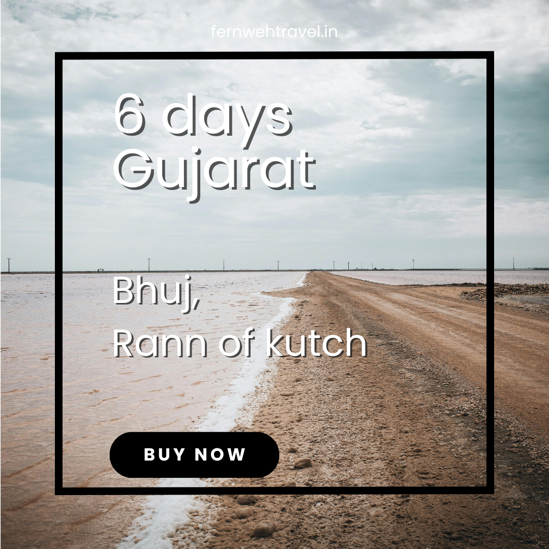 Aerial view of the White Rann desert in Kutch under a pastel sunset sky, with salt crystals shimmering on the vast, empty terrain.