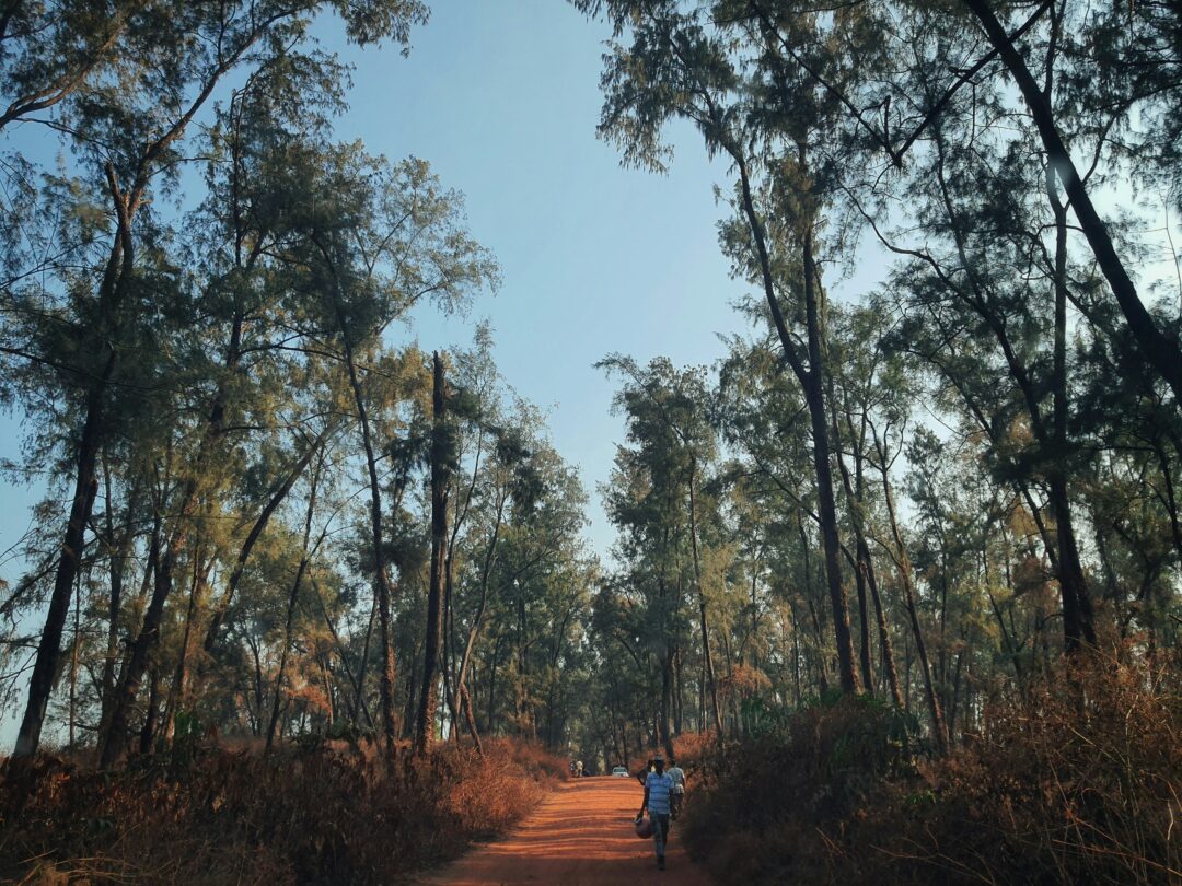 Ratnagiri - Malvan (Maharashtra) | 5N - 6D