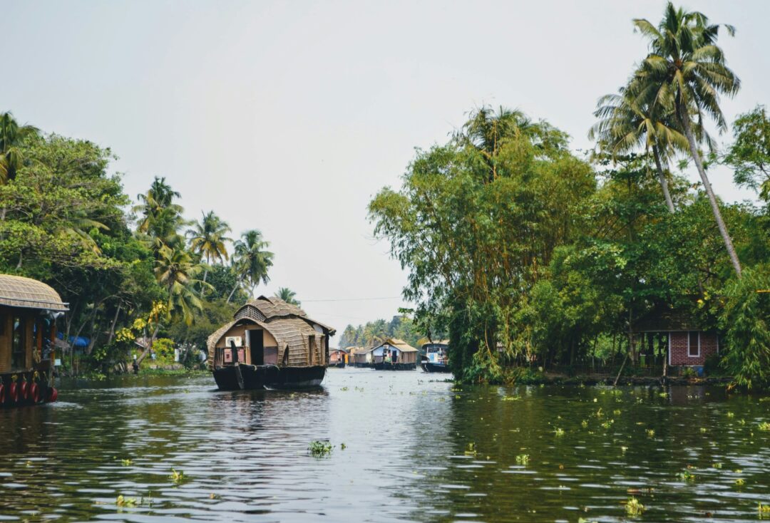 Kochi - Munnar - Thekkady - Alleppey (Kerala) | 7N - 8D