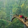 Shillong - Jowai - Dawki - Cherrapunji - Garo hills (Meghalaya) | 12N - 13D