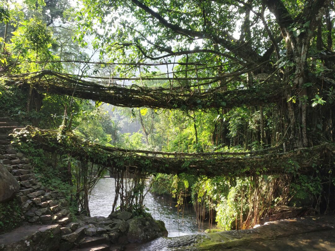 Shillong - Jowai - Dawki - Cherrapunji - Garo hills (Meghalaya) | 12N - 13D