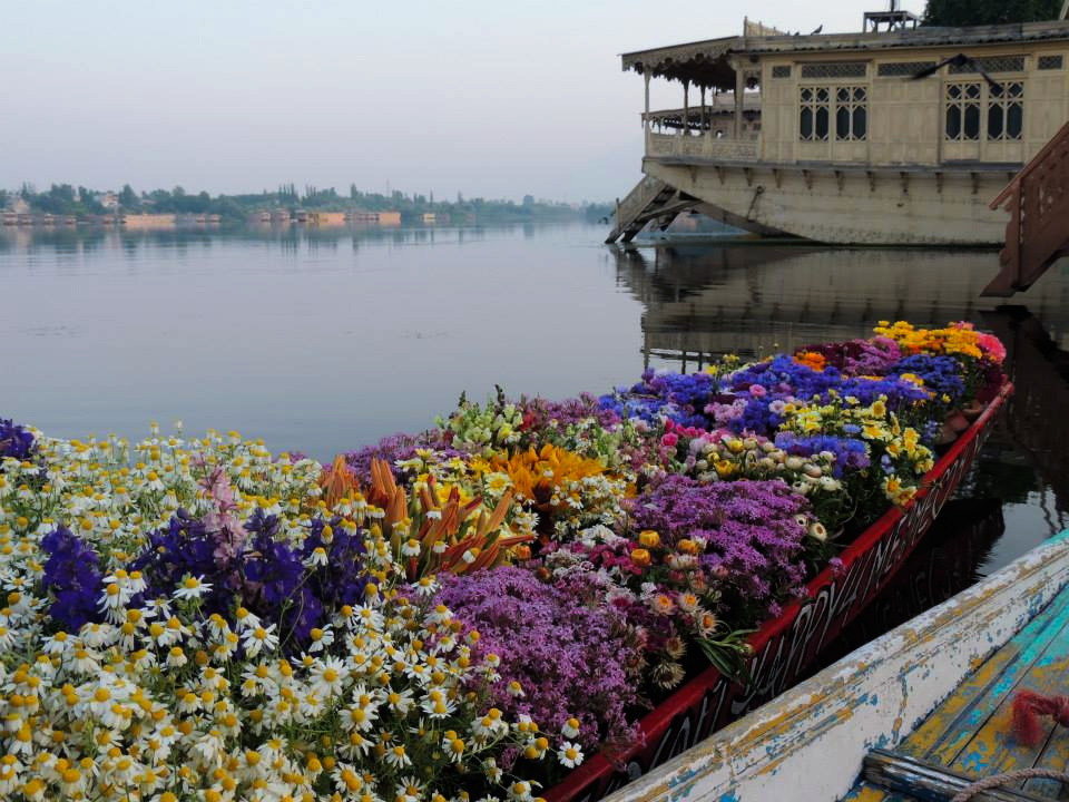 Pahalgam - Sonmarg - Gulmarg - Srinagar- Vaishno Devi (Kashmir) | 7N - 8D