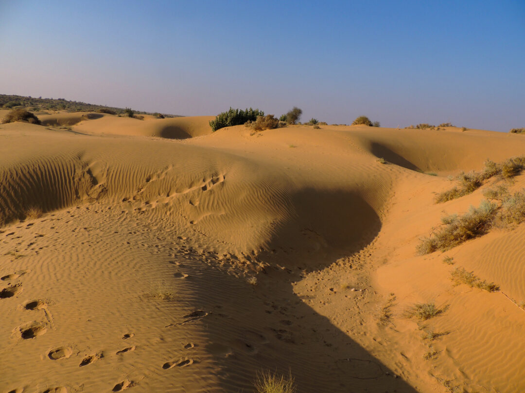 Udaipur - Jodhpur - Jaisalmer (Rajasthan) | 6N - 7D