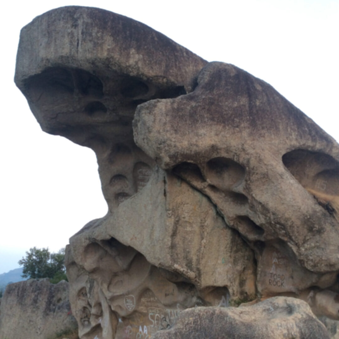 Mount Abu - Jawai Bandh Safari - Udaipur (Rajasthan) | 6N - 7D