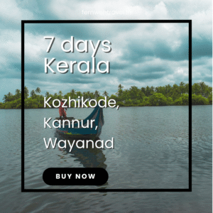 A traditional wooden boat gently floating on a serene Kerala river surrounded by lush greenery.