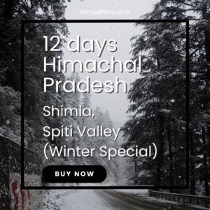 Snow-covered road lined with pine trees – Spiti Valley winter itinerary.