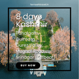 Char Chinar Island in the middle of Dal Lake with snow-covered mountains in the background – Kashmir itinerary