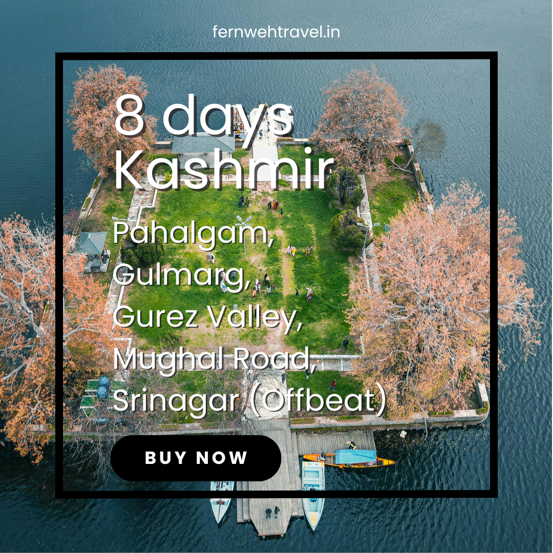 Char Chinar Island in the middle of Dal Lake with snow-covered mountains in the background – Kashmir itinerary