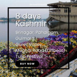 Traditional Kashmiri shikara boat filled with fresh tulips floating on Dal Lake during Srinagar Tulip Festival – vibrant spring travel in Kashmir.