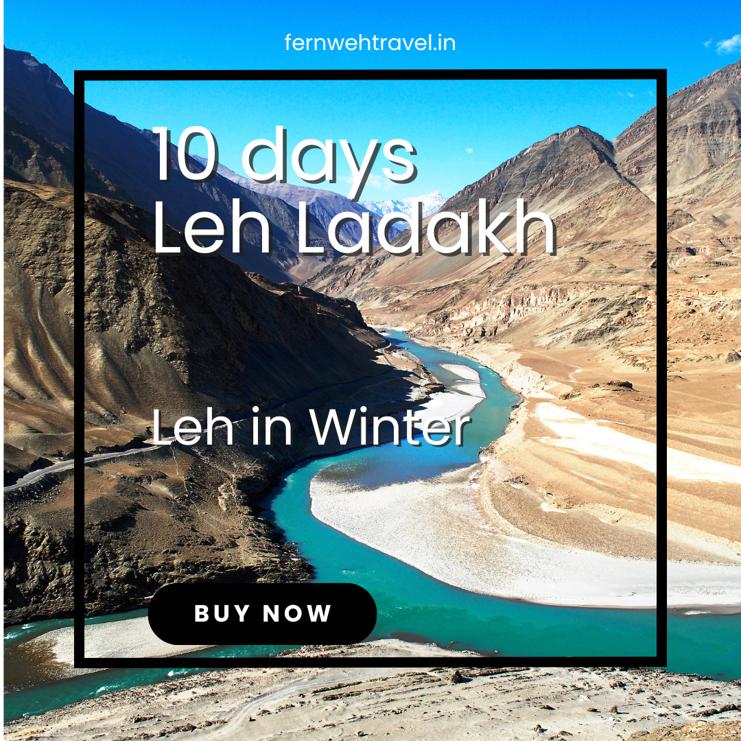 Frozen Zanskar River in Ladakh during winter with snow-covered cliffs and icy terrain