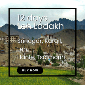 Lamayuru Monastery perched on cliffs surrounded by moon-like landscapes in Ladakh