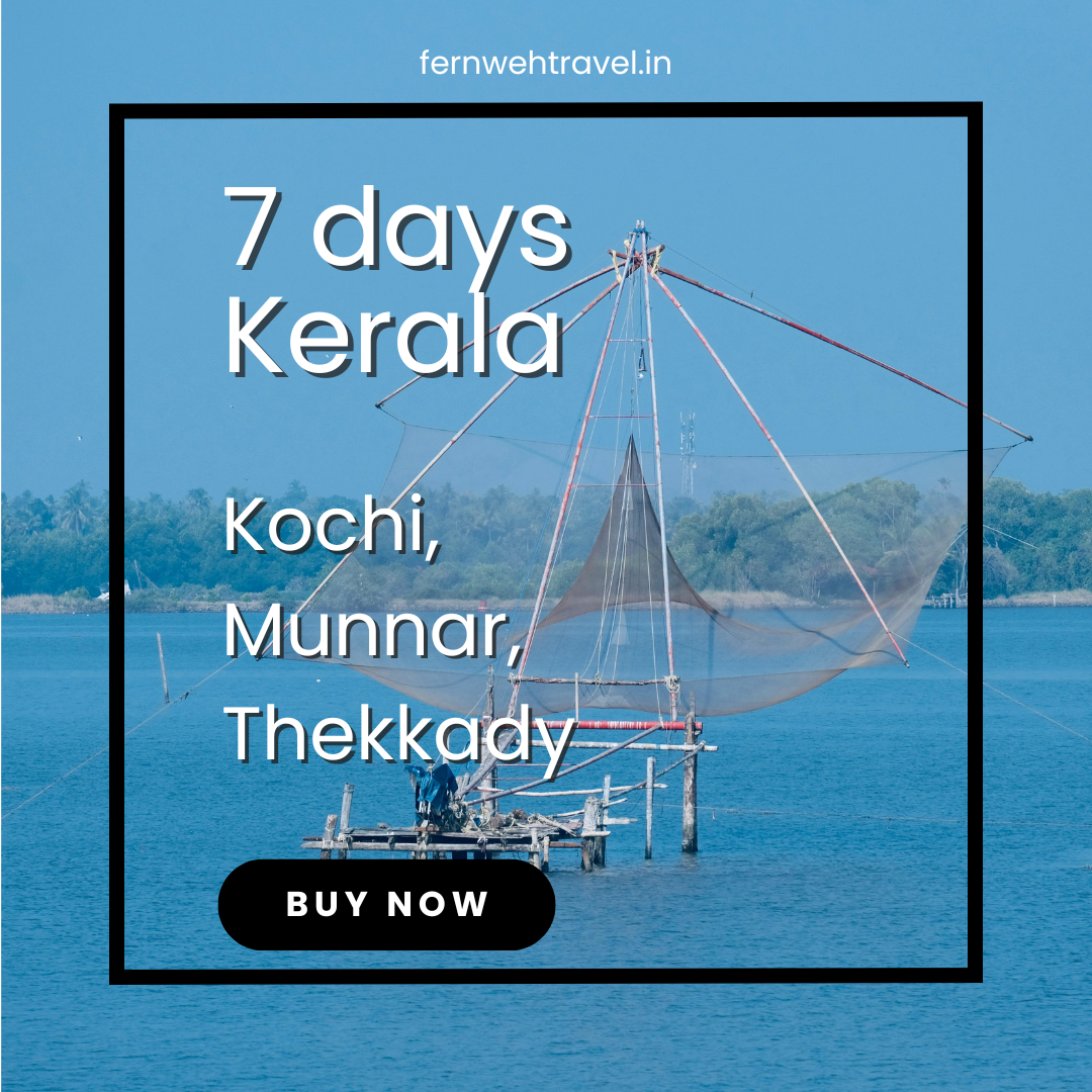 Chinese fishing nets at sunset along the Malabar coast in Kochi