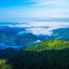Kozhikode - Kannur - Wayanad (Kerala) | 6N - 7D