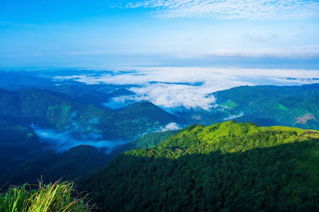 Kozhikode - Kannur - Wayanad (Kerala) | 6N - 7D