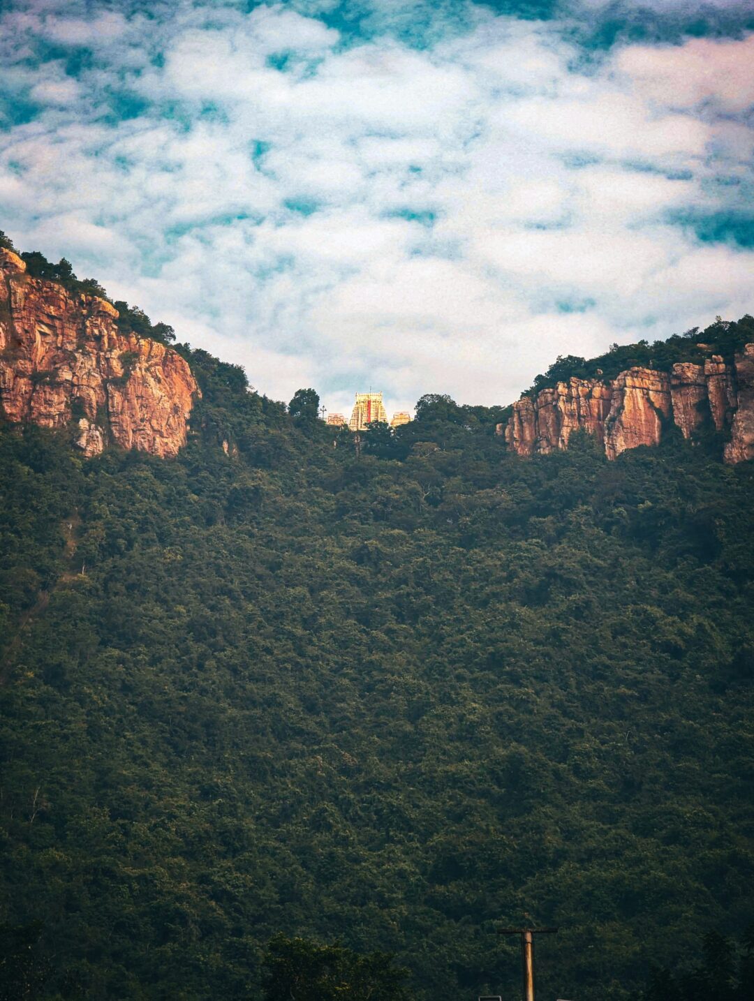 Vijayawada - Dwaraka Tirumala - Kakinada  (Specially for Bird Watchers) (Telangana & Andhra Pradesh) |