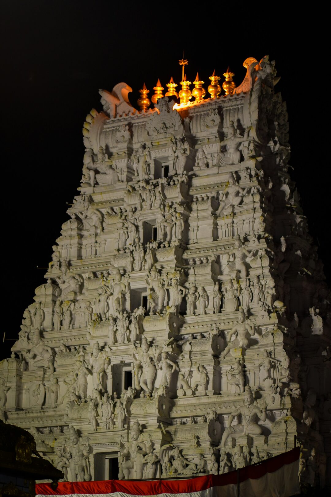 Vijayawada - Dwaraka Tirumala - Kakinada  (Specially for Bird Watchers) (Telangana & Andhra Pradesh) |