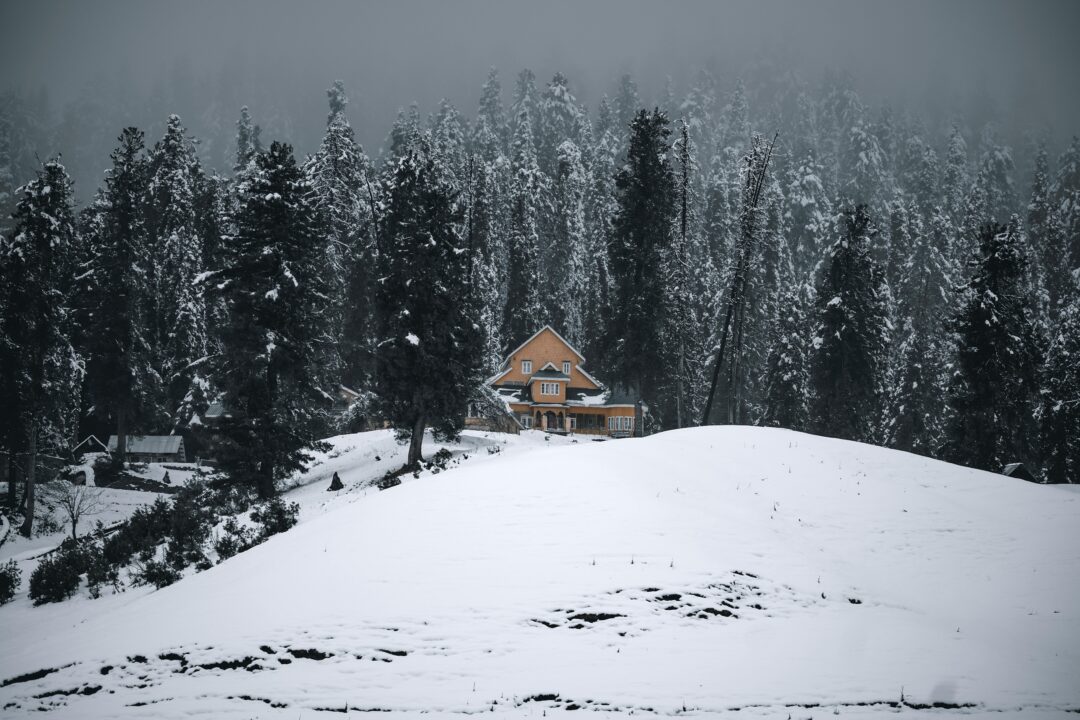 Srinagar - Pahalgam - Gulmarg - Gurez Valley - Mughal Road - Srinagar Tulip Festival (Kashmir) | 7N - 8D