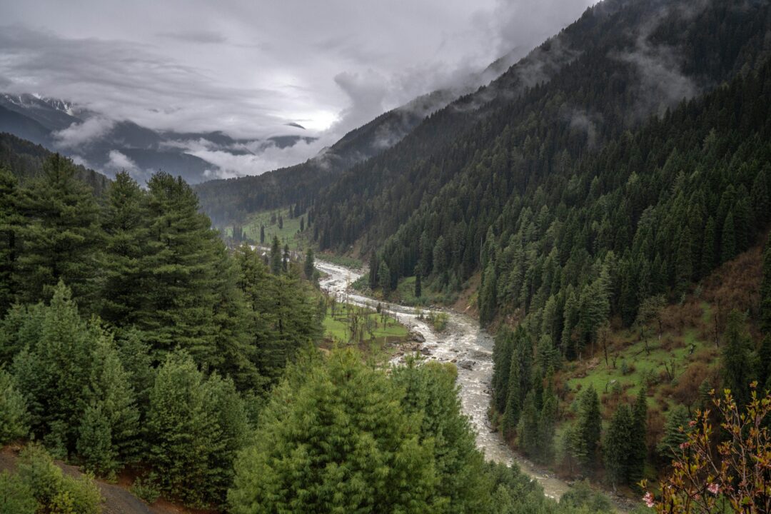 Pahalgam - Sonmarg - Gulmarg - Srinagar- Vaishno Devi (Kashmir) | 7N - 8D