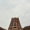 Vijayawada - Dwaraka Tirumala - Kakinada  (Specially for Bird Watchers) (Telangana & Andhra Pradesh) |
