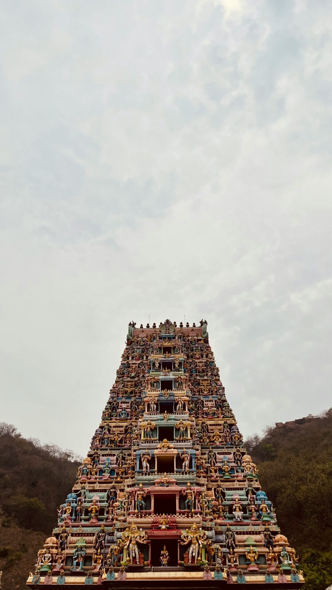 Vijayawada - Dwaraka Tirumala - Kakinada  (Specially for Bird Watchers) (Telangana & Andhra Pradesh) |