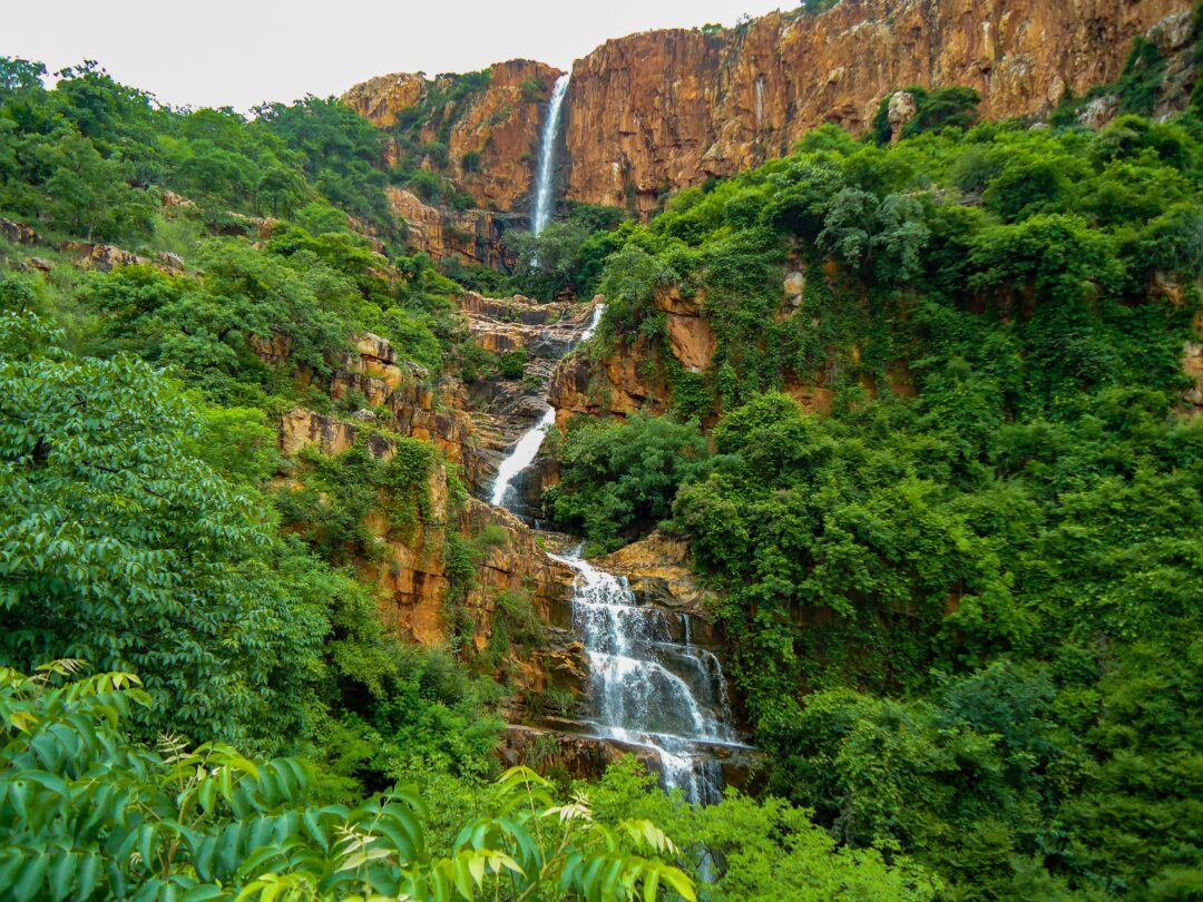 Tirupati - Sriharikota - Bird Sanctuary (Telangana & Andhra Pradesh) | 3N - 4D