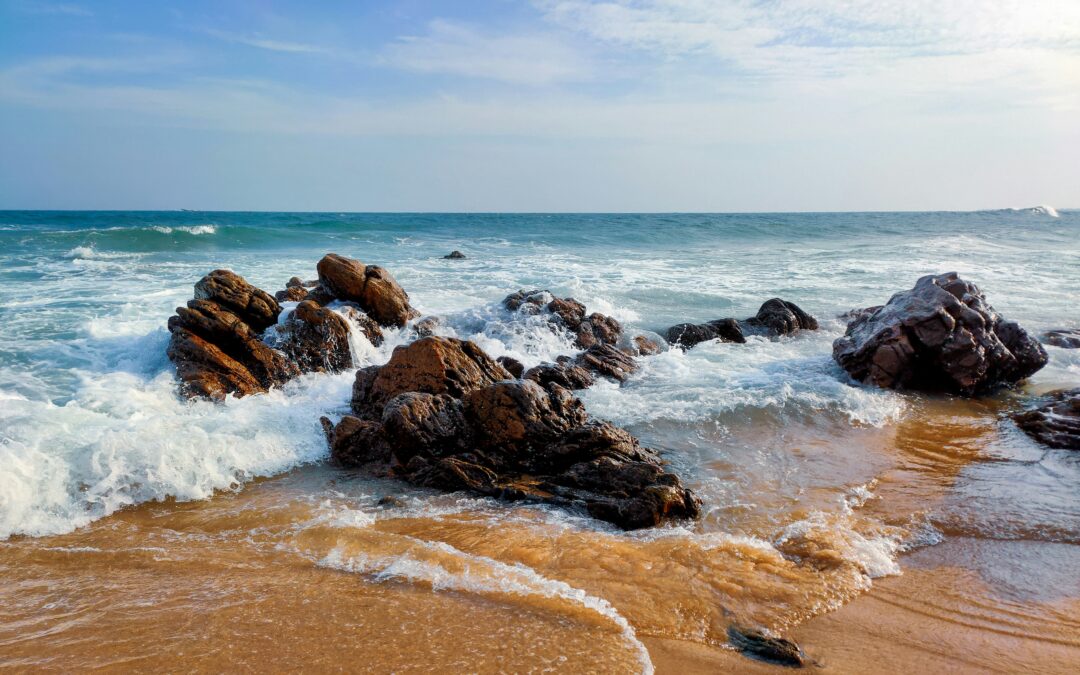 Visakhapatnam (Vizag) - Araku - Srikakulam (Telangana & Andhra Pradesh) | 5N - 6D